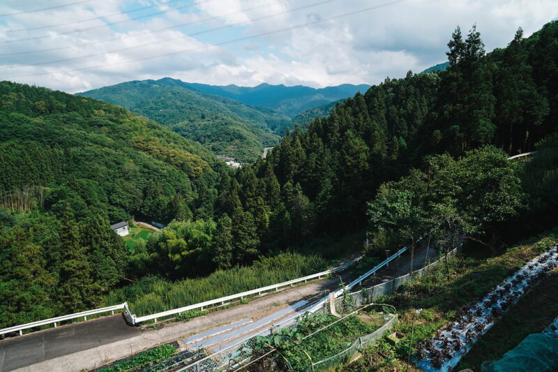 「大畠酒造」の醸造所からの景色