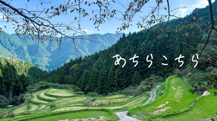 [PhotoDiary]<br>あちらこちら