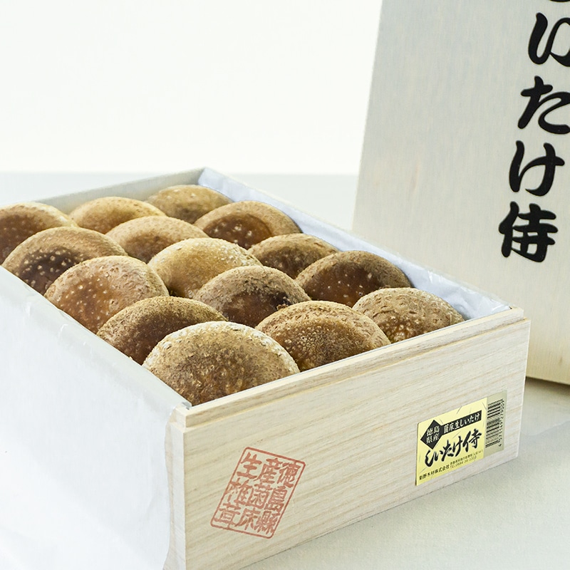 しいたけ侍 木箱大
