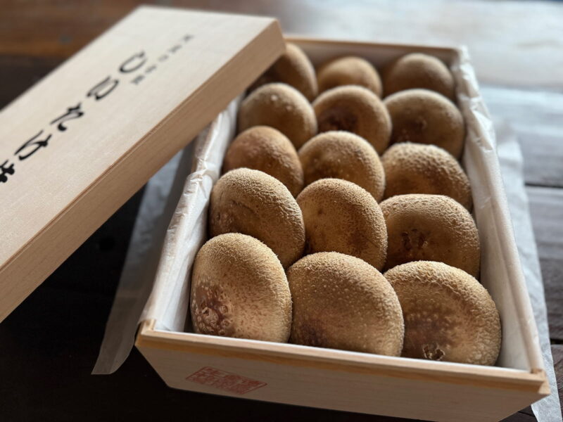 木箱にギッシリに詰まった生しいたけ