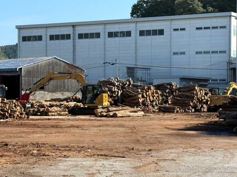 広葉樹の原木を分別中