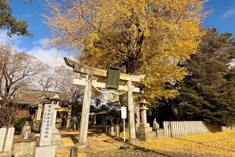多祁御奈刀弥（たけみなとみ）神社