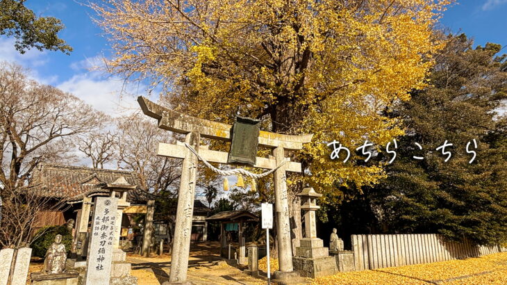 [PhotoDiary]<br>あちらこちら