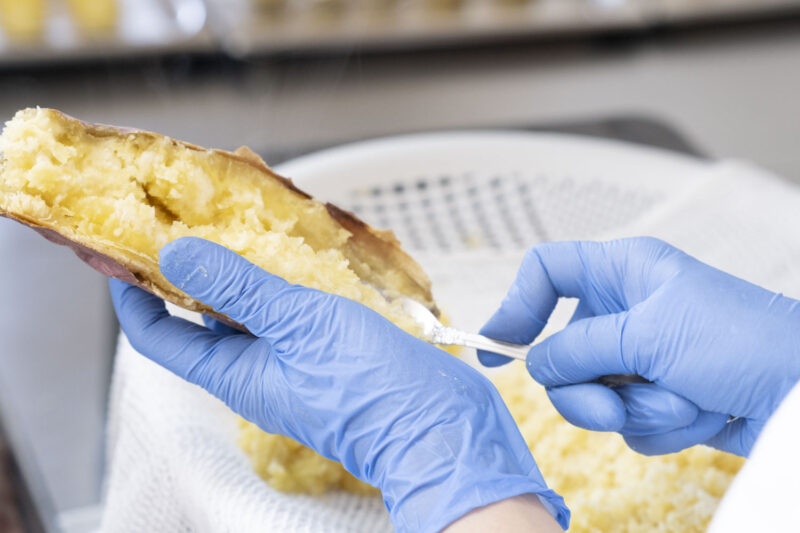 なると金時を焼いたあと、中身をほぐす作業