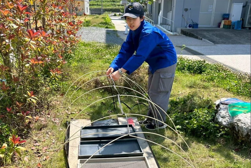 寮の駐車場の一角で育てていた苗