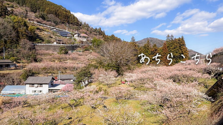 [PhotoDiary] あちらこちら（2026〜）