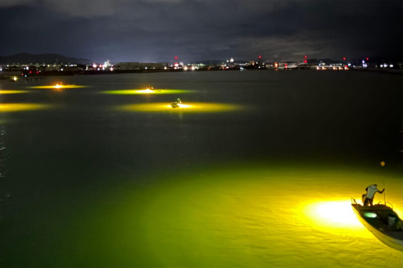 シラスウナギ漁の様子