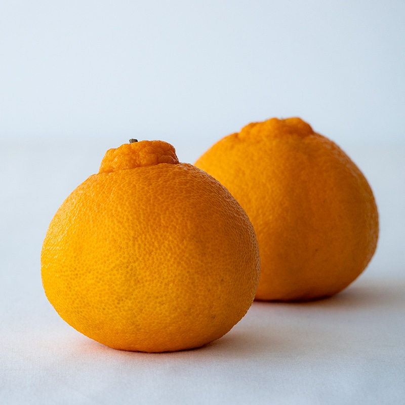 不知火(小箱A品)