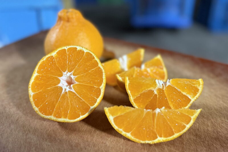 半分を4等分のくし切りにした画像