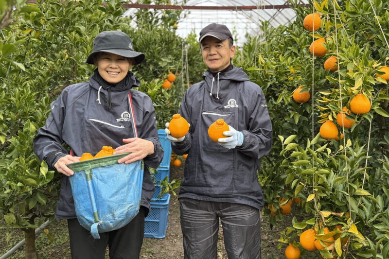 笑顔の佐藤さんご夫妻
