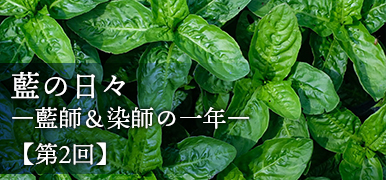 読みものサイトへ遷移します