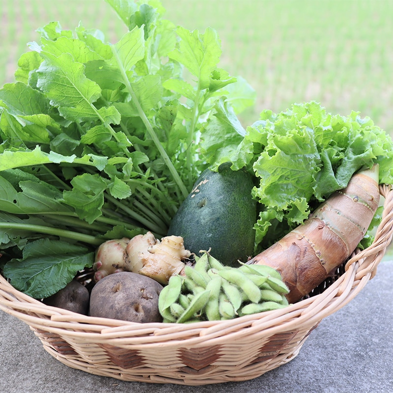 季節の野菜セット（11月～3月）