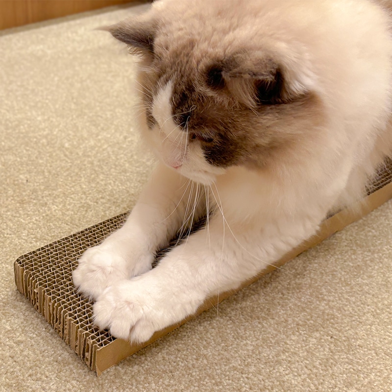 商品一覧｜Lacycle mall（ラシクルモール）