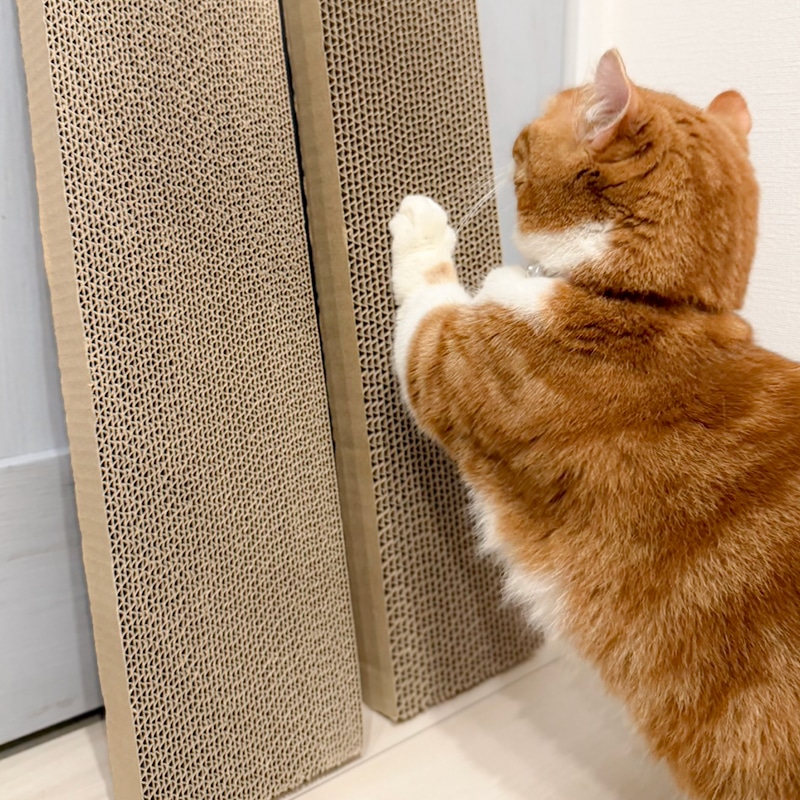 猫の爪とぎ段ボール（目の粗いタイプ）10個セット
