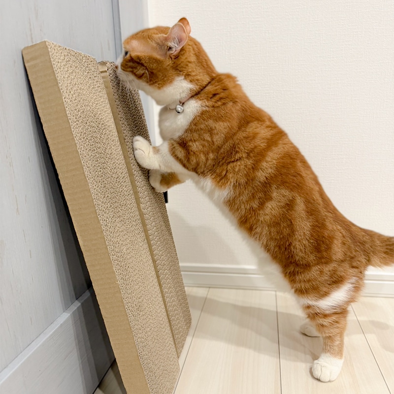 猫の爪とぎ段ボール（目の粗いタイプ）10個セット