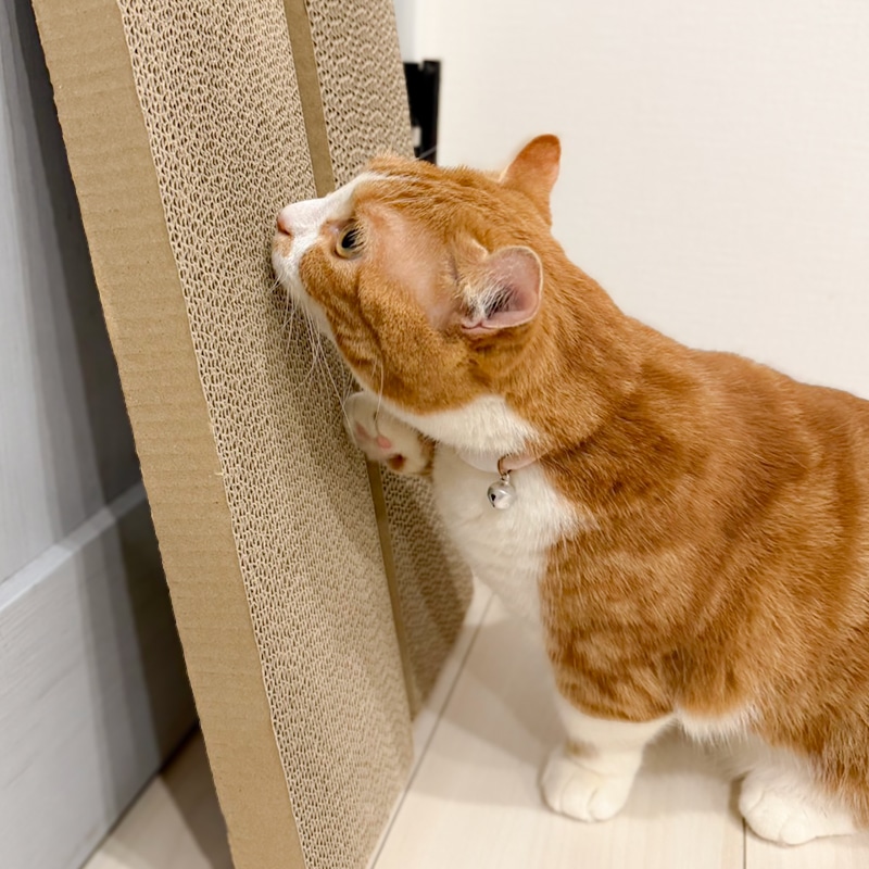 猫の爪とぎ段ボール（目の細かいタイプ）10個セット