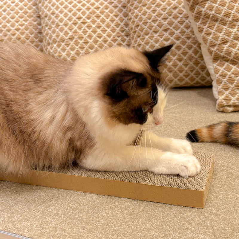 猫の爪とぎ段ボール（目の細かいタイプ）10個セット