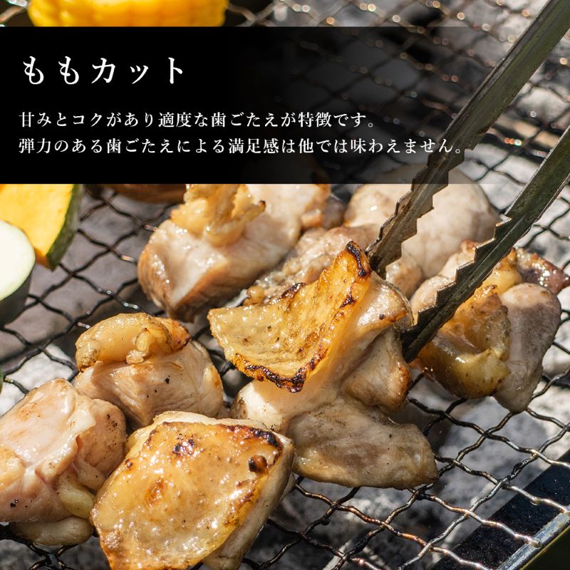 阿波尾鶏BBQセット