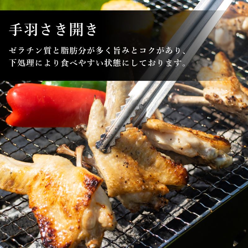 阿波尾鶏BBQセット | Lacycle mall（ラシクルモール）