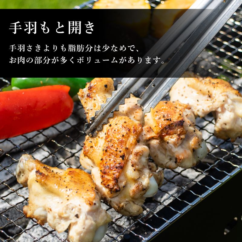 阿波尾鶏BBQセット