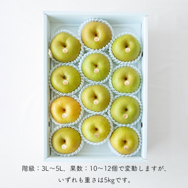 幸水梨（5kg）