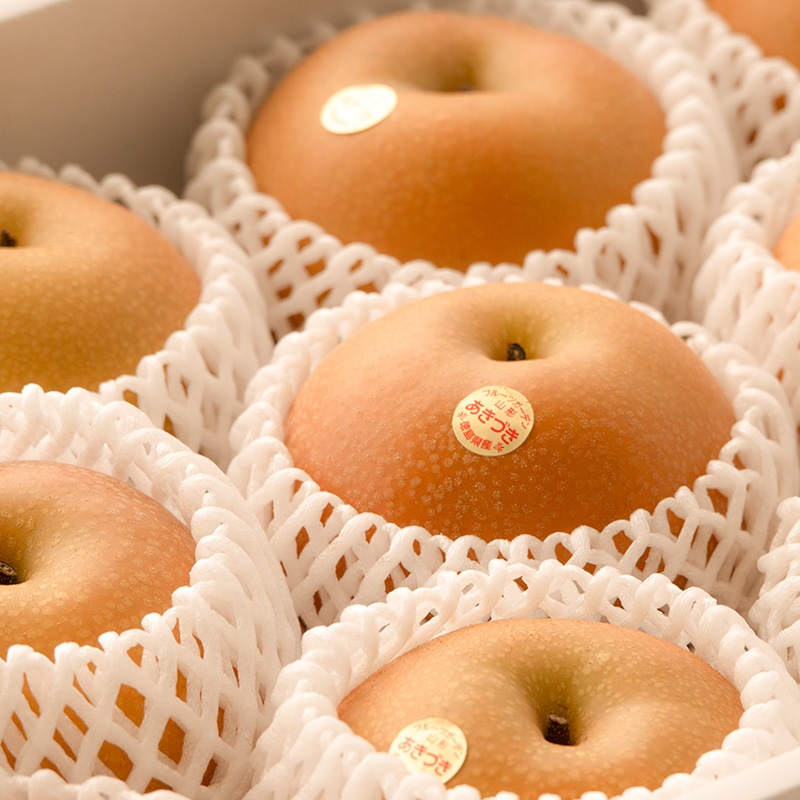 あきづき梨（5kg）