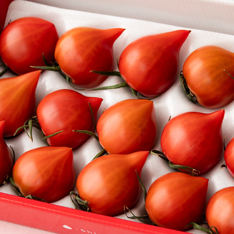 フルーツトマト「雫果」