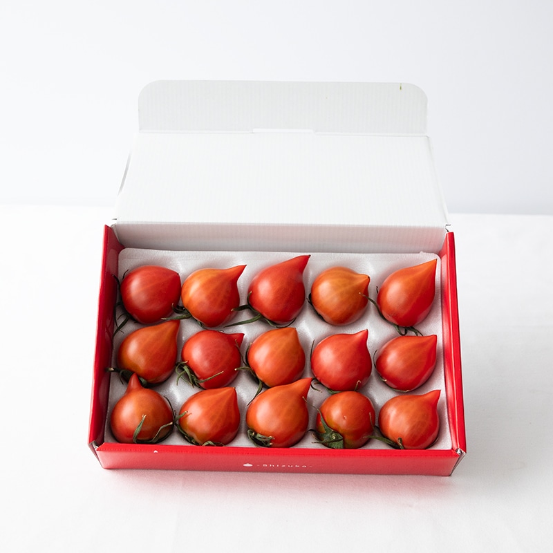 フルーツトマト「雫果」