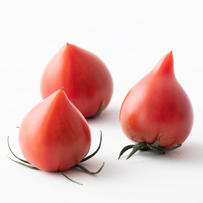 フルーツトマト「雫果」プレミアム