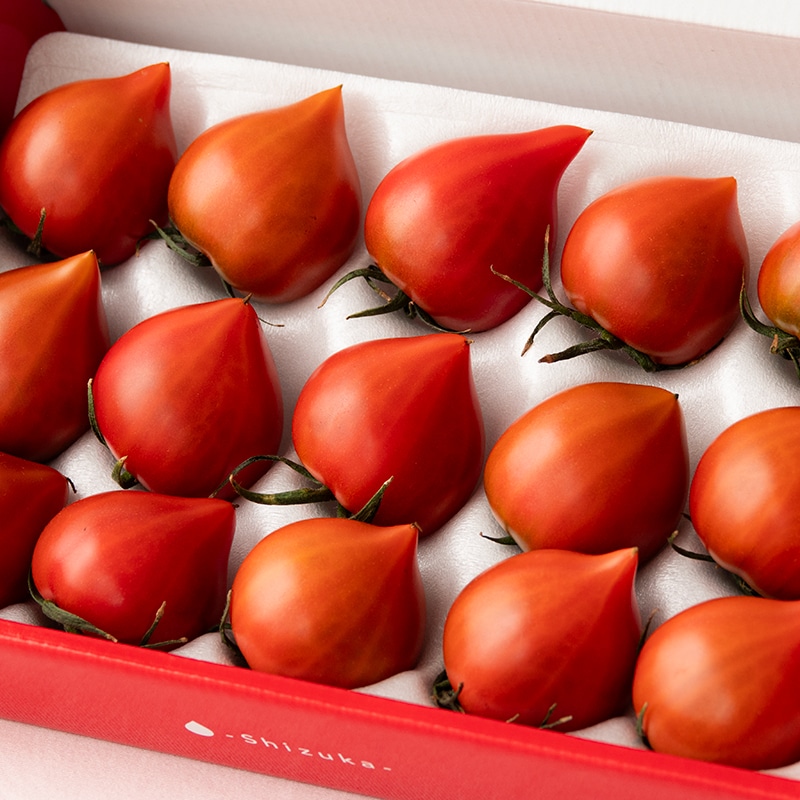 フルーツトマト「雫果」プレミアム