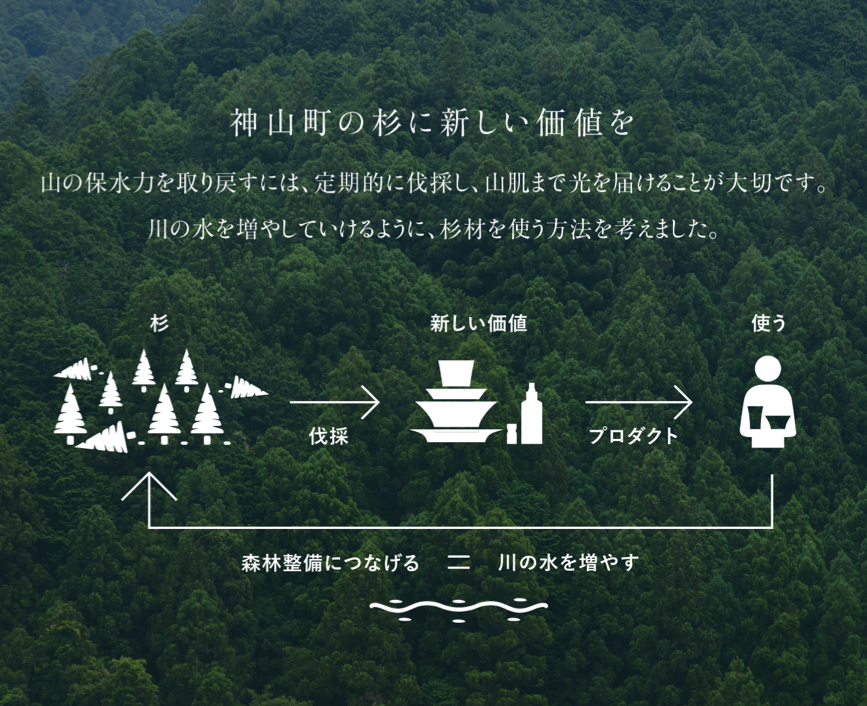 SHIZQ 亀カップ