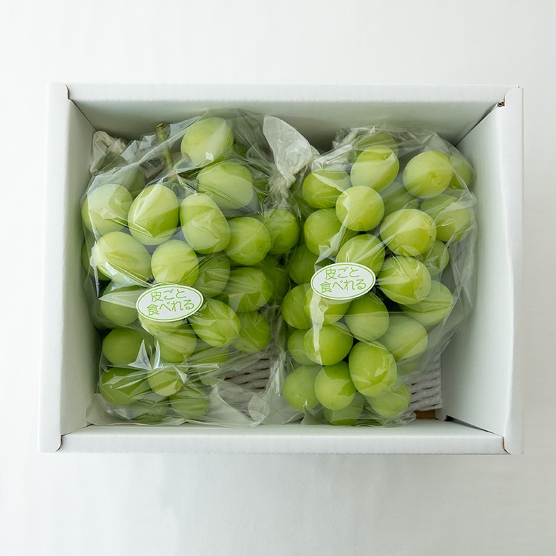 シャインマスカット 2房入り | Lacycle mall（ラシクルモール）