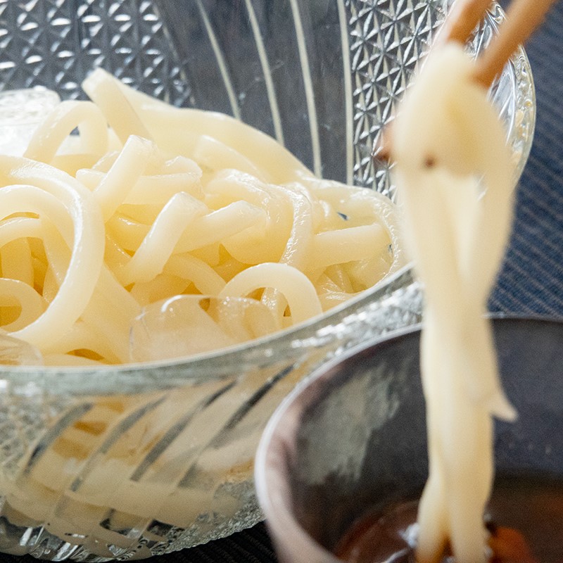 贈答たらいうどん8食 (つゆ付き)