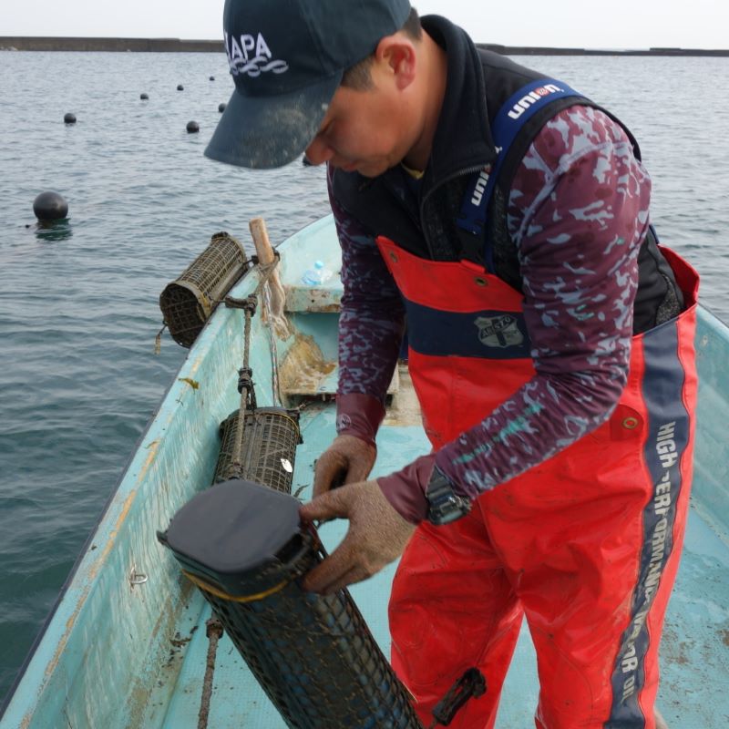 阿波はじめ牡蠣(生食用)​ サイズ違い詰め合わせ24個セット​