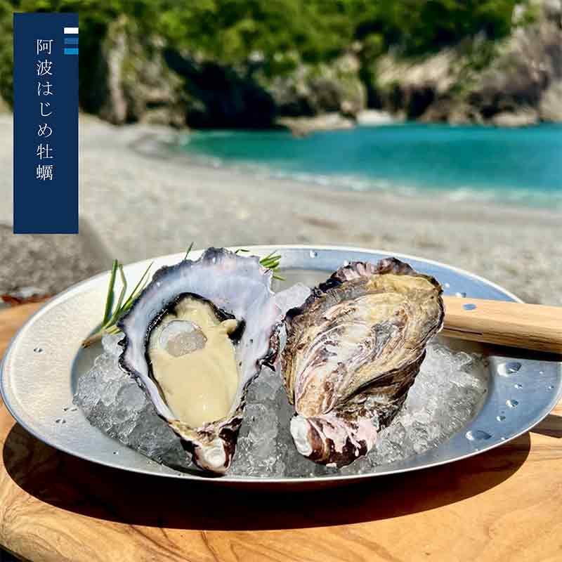 徳島産食べ比べ 阿波はじめ牡蠣＆和田島岬オイスター 生食用30個セット​