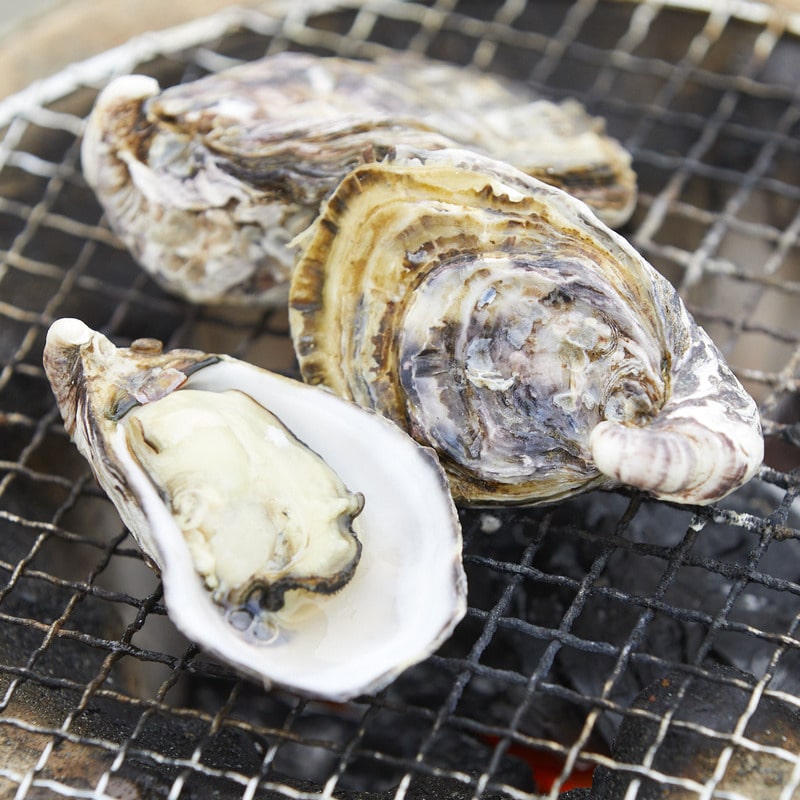 【オイスターナイフ付き】徳島産食べ比べ 阿波はじめ牡蠣＆和田島岬オイスター 生食用30個セット​