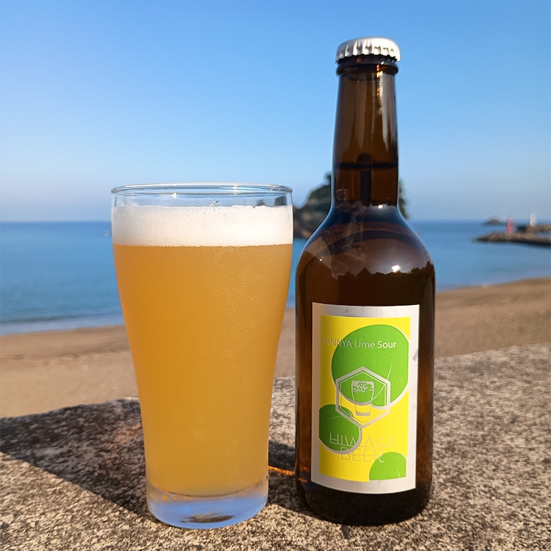 クラフトビール6本セット