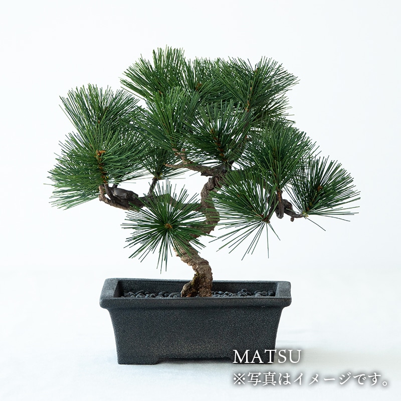 La Bonsai（ラ・ボンサイ）Essential