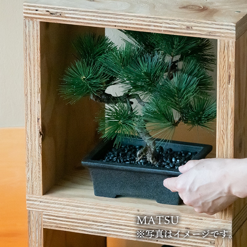 La Bonsai（ラ・ボンサイ）Essential