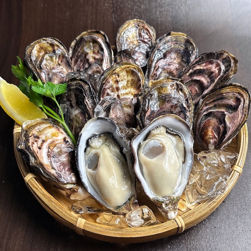 ウチノ海ダイヤモンド生食用20個セット