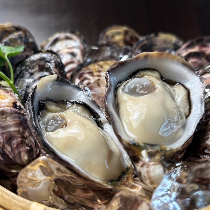 ウチノ海ダイヤモンド生食用20個セット