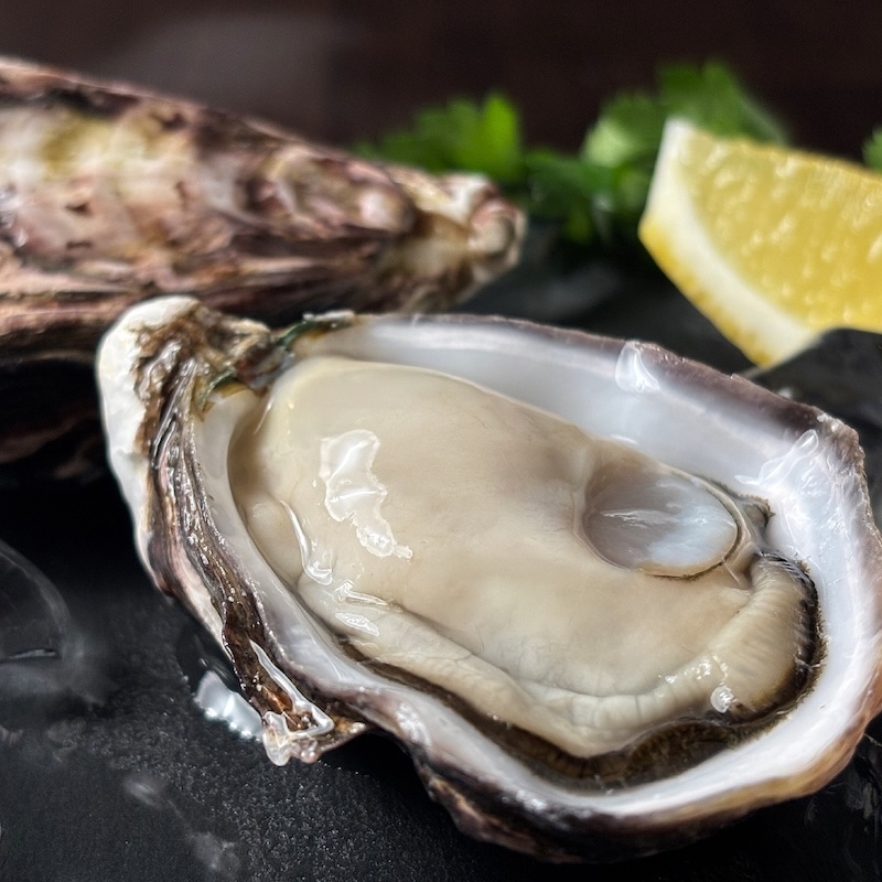 ウチノ海ダイヤモンド生食用20個セット
