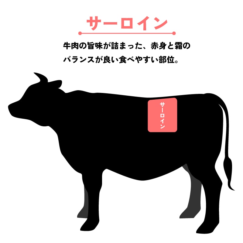 とくしま育ちのすだち牛 サーロイン600g（ステーキ用）