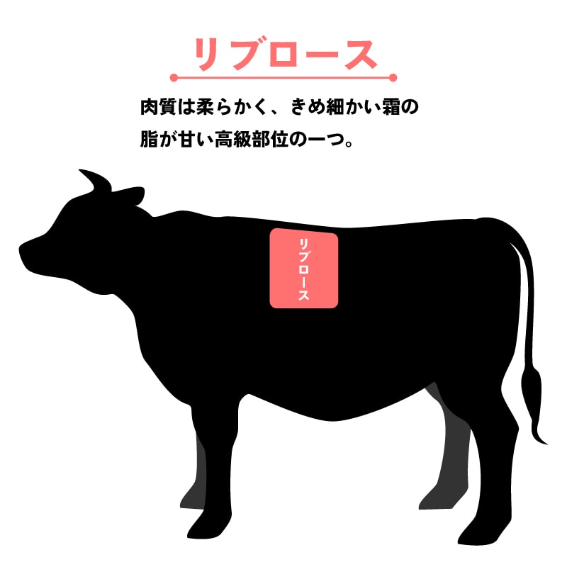 とくしま育ちのすだち牛 リブ＆モモ600g