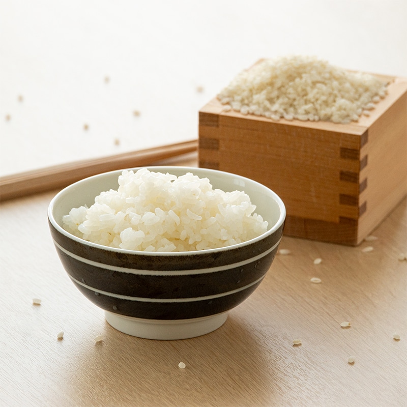 【商品番号6-15】徳島県産コシヒカリ（きわめつけ）4kg ×2袋