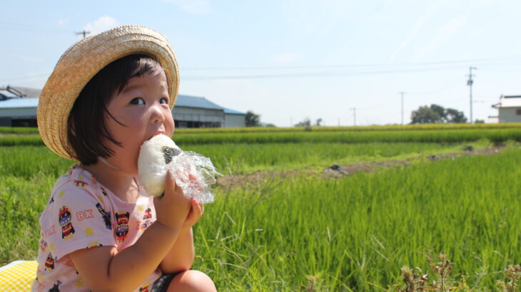 減農薬・有機肥料で行う“食味値80点以上”の米作り