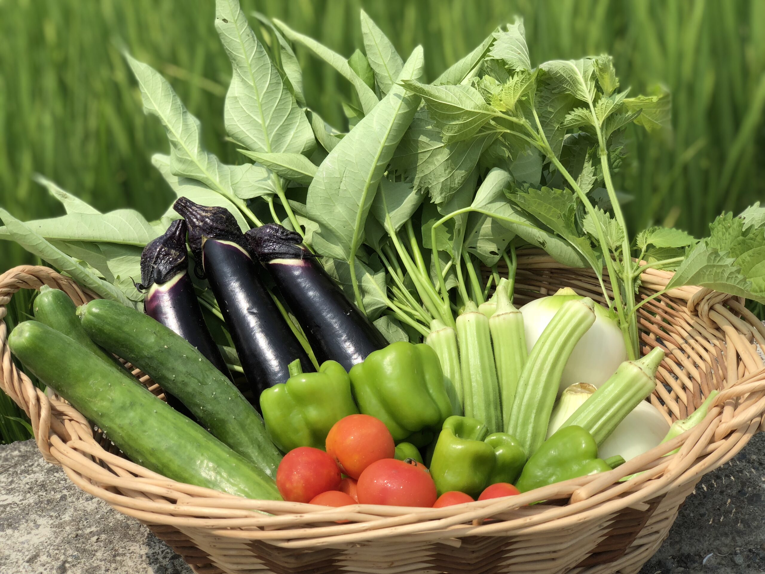 無農薬・無肥料の「自然農法」野菜。オーガニック農園の恵み - Lacycle