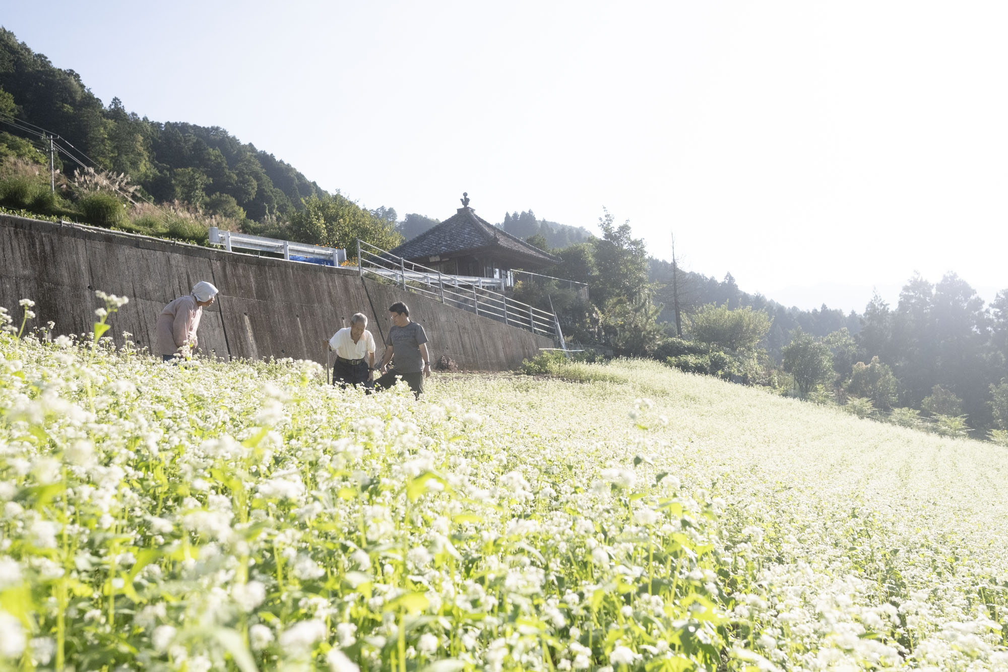世界農業遺産」で暮らす磯貝家の春夏秋冬 【第二回】酷暑の夏を