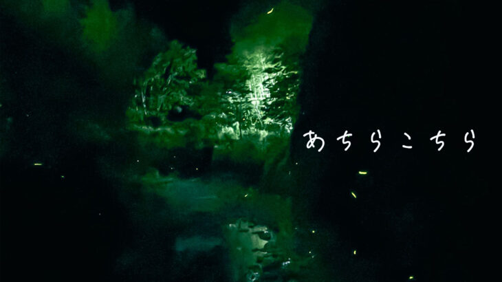 [PhotoDiary]<br>あちらこちら