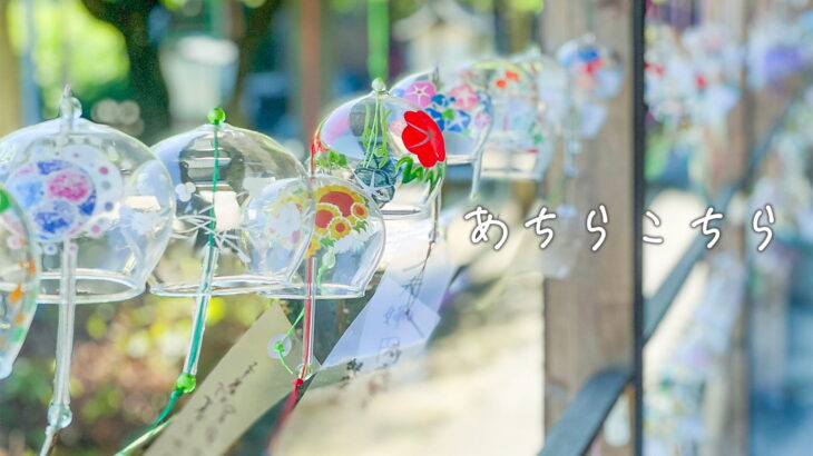 [PhotoDiary]<br>あちらこちら